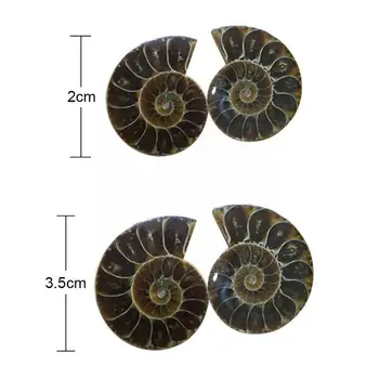 1Pair Padalinta Ammonite Iškastinio Pavyzdys Shell Gydymo Namuose Madagaskaras Apdailos W1M0 Apdailos Mineralų, Natūralių Akmenų B2B4