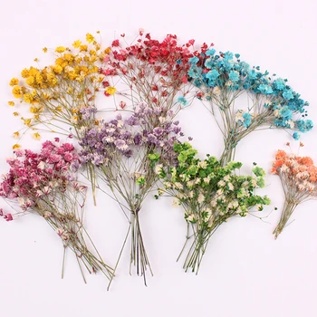 1 maišelis Gypsophila džiovintų gėlių paspaudus gėlių iškilumo natūralių džiovintų gėlių Epoksidinės džiovintų gėlių telefono dėklas medžiaga