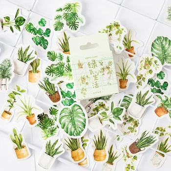 1 Dėžutė Žaliųjų Augalų Kawaii Kaktusas Kanceliarinės prekės Lipdukas Decoracion klijuojamas Lipdukas už Vaikas 